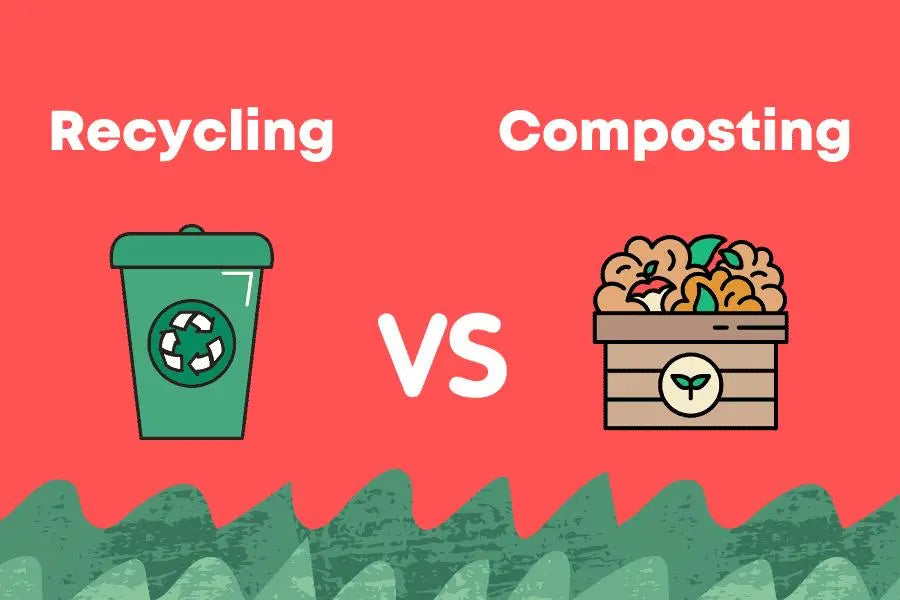 Recycling vs. Composting A Sustainable Choice