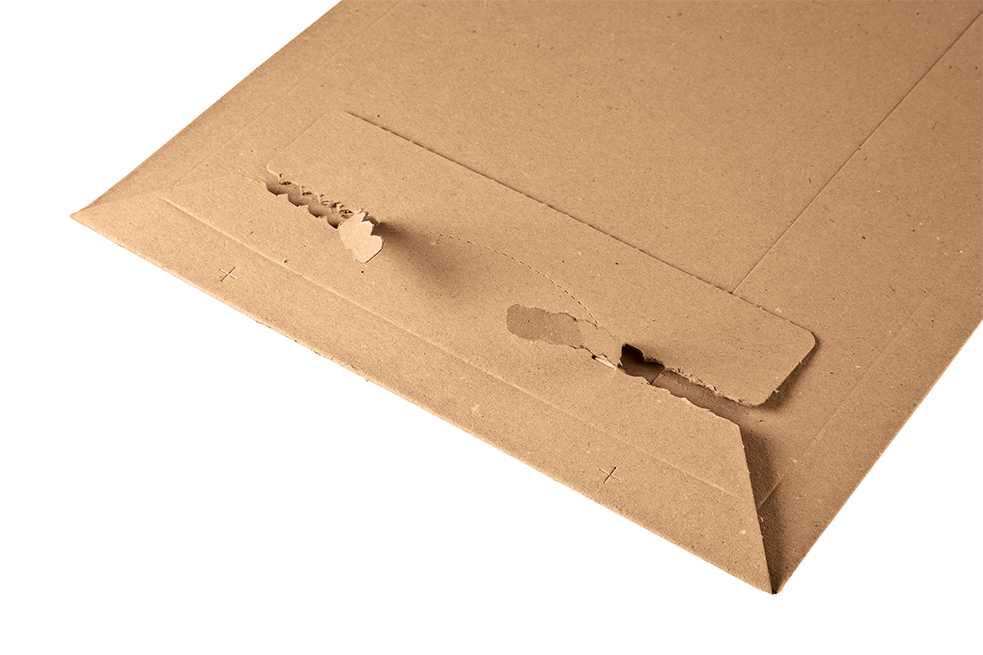 Envelope resealable Shipping boxes